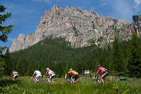 cortina_bike_12