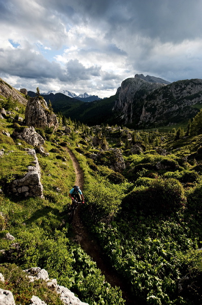 cortina_bike_n_05.jpg