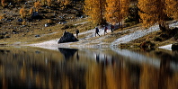 cortina_herbst_02