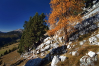 cortina_herbst_04