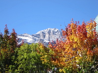 cortina_herbst_06