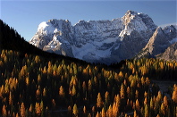 cortina_herbst_14