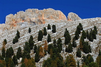 cortina_herbst_16