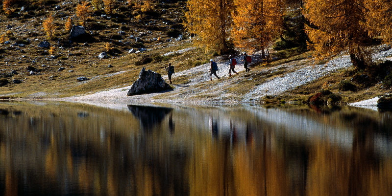 cortina_herbst_02.jpg