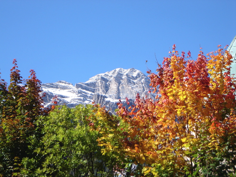 cortina_herbst_06.jpg