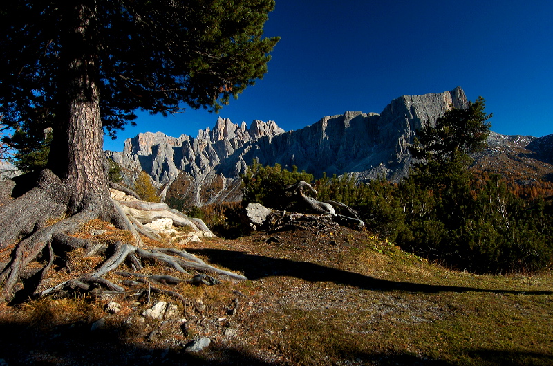 cortina_herbst_11.jpg