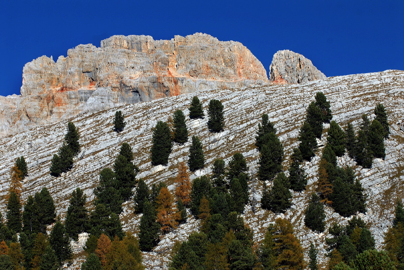 cortina_herbst_16.jpg