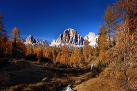 cortina_herbst_05