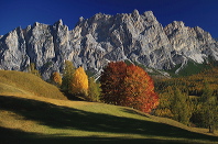 cortina_herbst_07