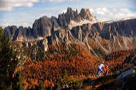 cortina_herbst_08