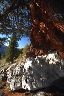 cortina_herbst_13