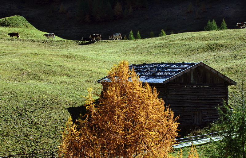 cortina_herbst_10.jpg