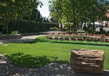 rau_laermschutz_allee_02