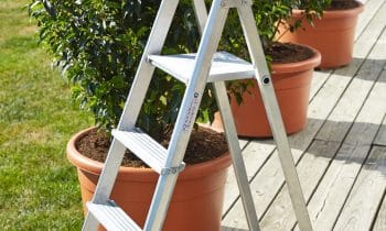 Immer sicher auf der Leiter – Bei der Gartenarbeit im Herbst sind Qualitätsleitern aus Deutschland gefragt