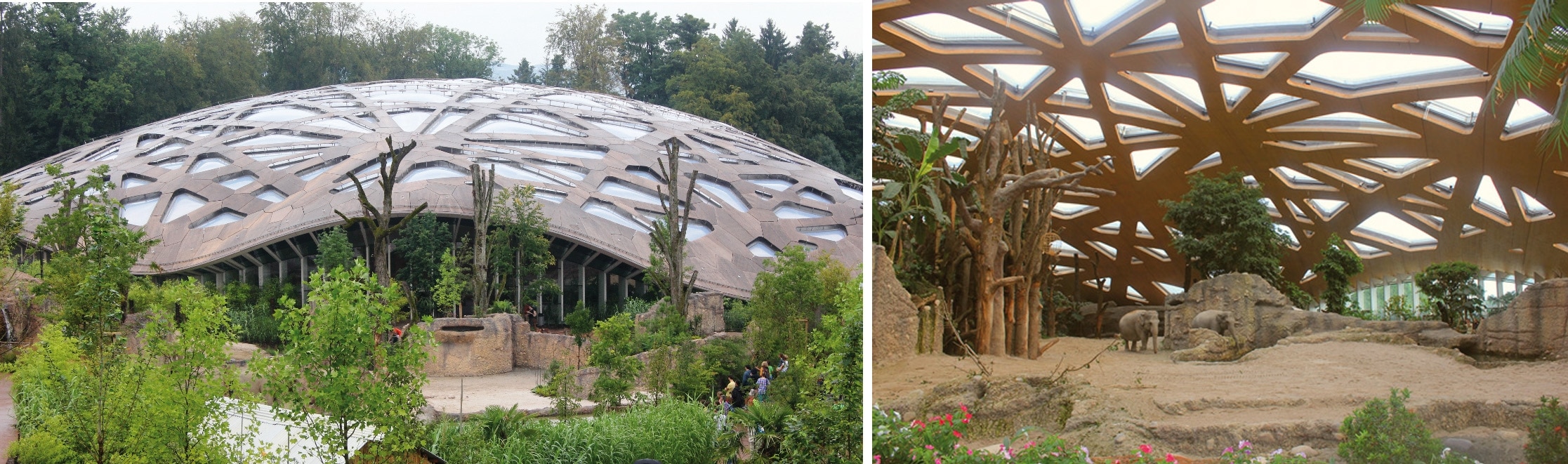 Die esb-Holzwerkstoffplatten von elka im Elefantenhaus des Züricher Zoos