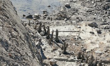 Archäologen auf dem AWG-Areal – Zwei Wochen-Baustopp auf der Baustelle der Kreisbau in der Lederstraße