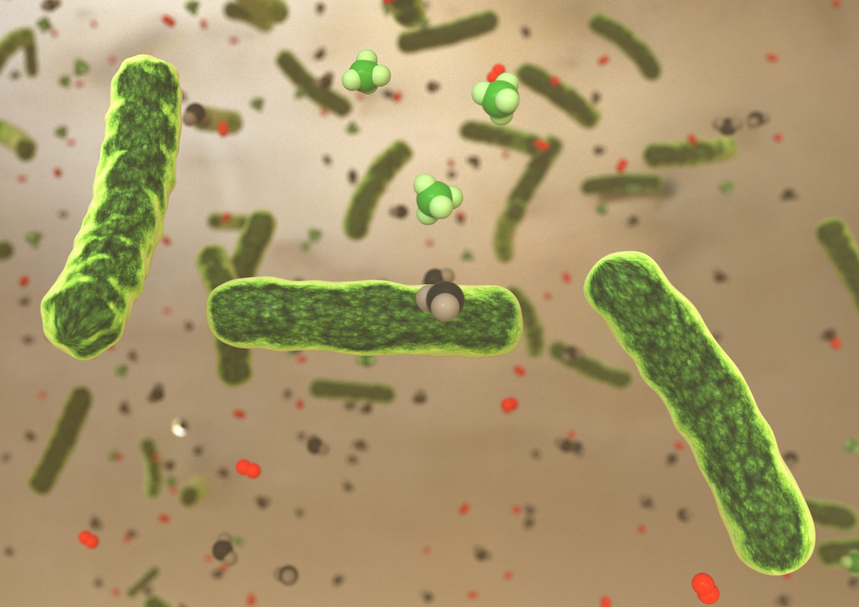 BiON®-Verfahren: Mikroorganismen verstoffwechseln H2 und CO2 zu Methan. Bild: microbEnergy