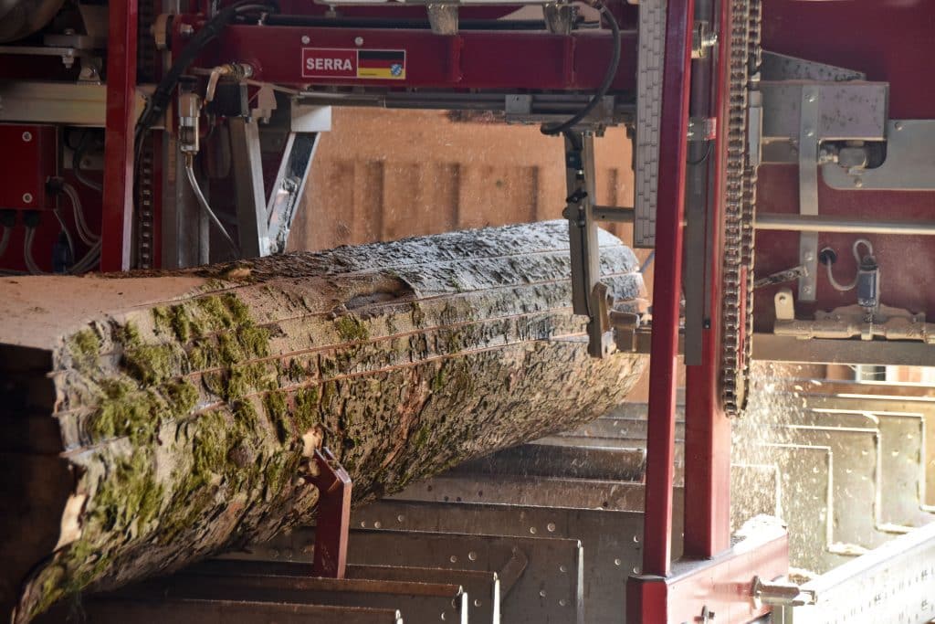 Bei der Allgäuer Wert- und Edeholz GmbH & Co. wird der Baum zum Edelholz verarbeitet. Unser Foto zeigt den so genannten Einschnitt des Stammes. Foto: Allgäuer Wert- und Edelholz
